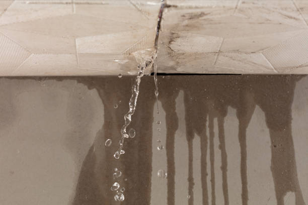 Professional Water Extraction technician working in Harper Woods, MI